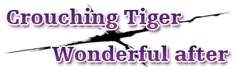 uCrouching Tiger/Wonderful afterv